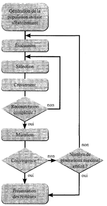 Figure 2.1 Schema du processus d'optimisation par AG. Chacune des etapes de ce  processus iteratif est schematisee aux figures 2.2 a 2.6 pour une population de 4 individus