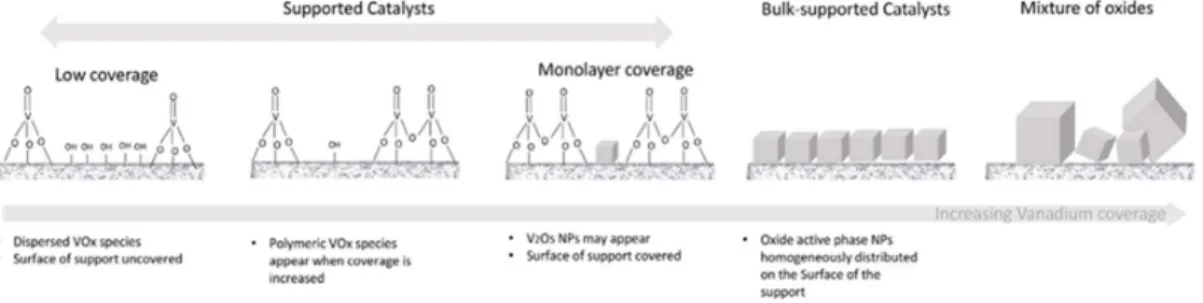 Figure 1.2 - Different approach for the dispersion, of V 2 O 5  on the support [57] 