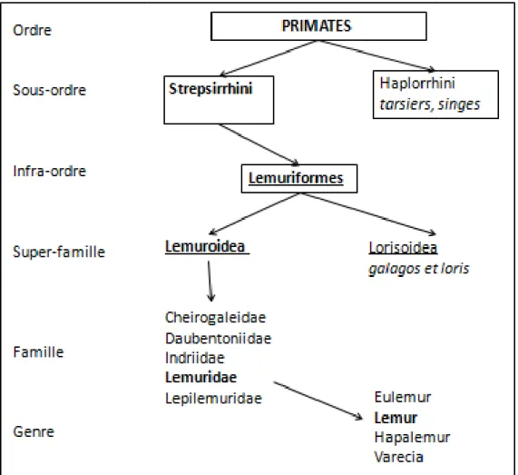 figure n°0, classification de 