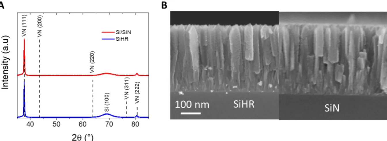 Figure III.3 (A) Diffractogramme (PDF (VN) : 00-035-0768) et (B) images MEB d'un film mince de VN sur substrat SiHR et Si/ 