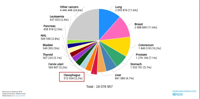 Figure 1 Estimation du nombre de nouveaux cas de cancers dans le monde en  2018, tous cancers confondus, dans les deux sexes, tous âges confondus