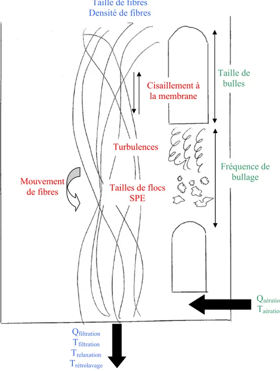 Figure 1-3 : Paramètres considérés dans les différentes parties de la bibliographie 