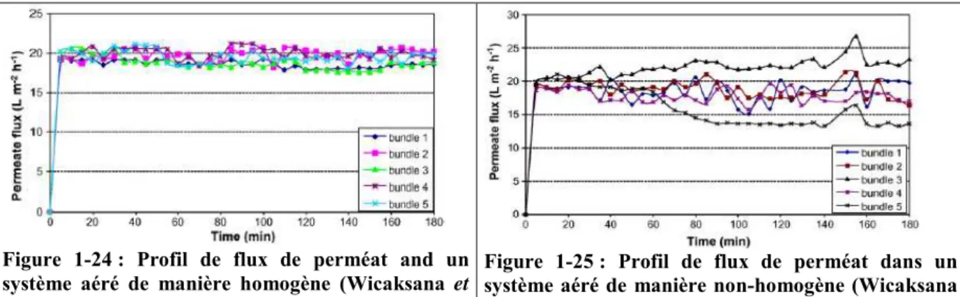 Figure  1-24 :  Profil  de  flux  de  perméat  and  un  système  aéré  de  manière  homogène  (Wicaksana  et  al.,  2009) 
