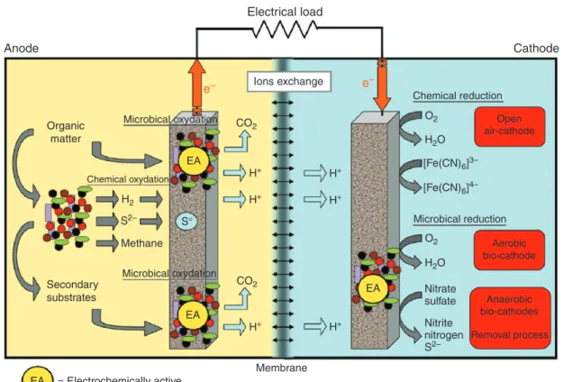 Figure 8  Schematic representation of microbial fuel cell operation. Reprinted with permission from Duteanu NM, Ghangrekar MM, Erable B, and Scott K  (2010) Microbial fuel cells  – An option for wastewater treatment