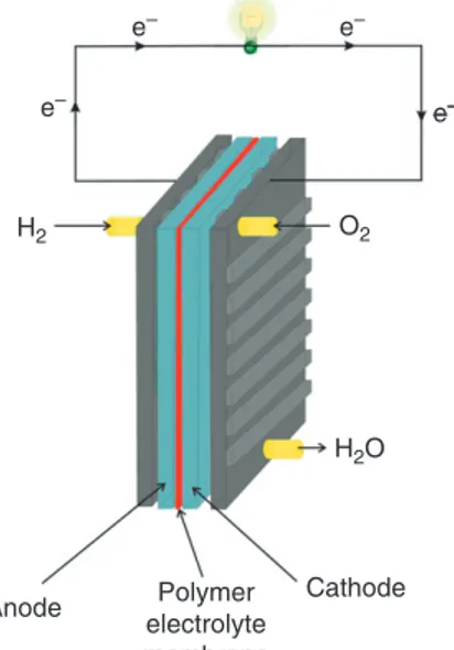 Figure 1  A hydrogen–oxygen fuel cell. 