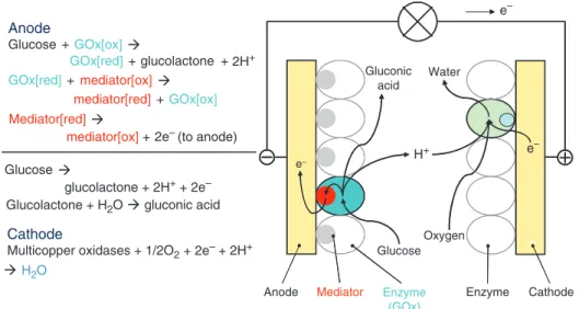 Figure 4  Schematic diagram of work principle for mediated electron transfer in enzymatic biofuel cells