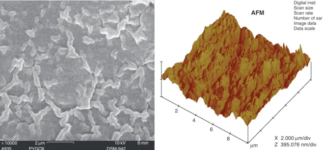 Figure 5  Au electrode coated with polypyrrole-FeFcGOx layer. Reproduced with permission from Larossa-Guerrero A, Scott K, Head IM, et al