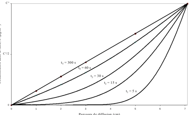 Figure 15 : Etablissement du gradient linéaire de concentration dans le tube à diffusion