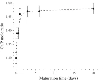 Fig. 5 Effect of maturation on estimated apatite crystallite dimen- dimen-sions (based on either Scherrer’s or Hosemann and Vogel’s models)