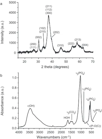 Fig. 1. (a) XRD patterns and (b) FTIR spectra for apatite colloidal nanoparticles.