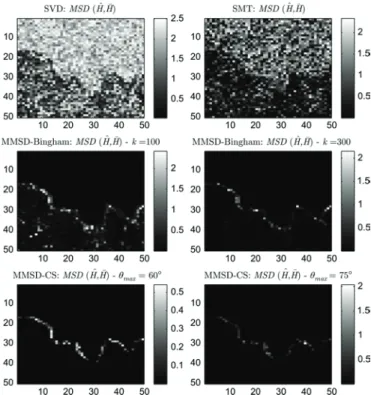 Fig. 10. Moffett image. MSD . , , .