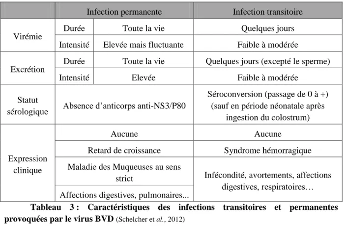 Tableau  3 :  Caractéristiques  des  infections  transitoires  et  permanentes  provoquées par le virus BVD  (Schelcher et al., 2012) 