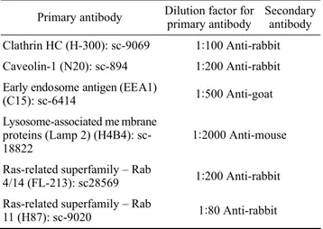 Table 1  Immunostaining. Primar y antibodies emplo yed an d  respective secondary antibodies 