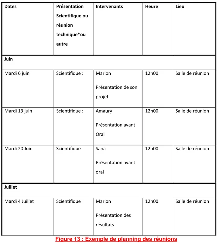 Figure 13 : Exemple de planning des réunions 