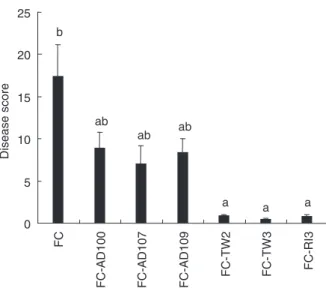 Figure 2 Disease symptom development on barley variety Magenta.