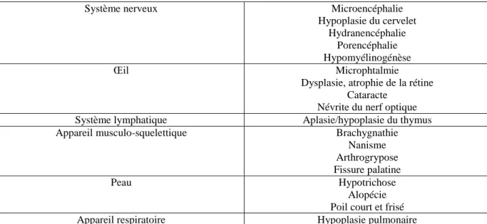 Tableau 1 : anomalies congénitales liées à une infection fœtale par le BVDV 