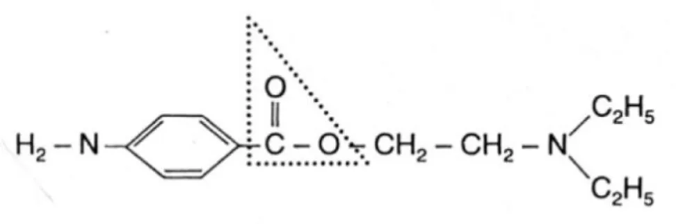 Figure 2: structure chimique de la procaïne (32)
