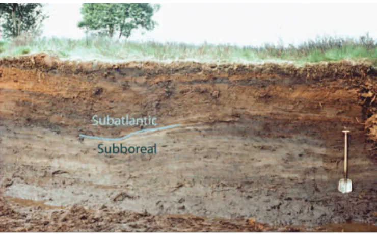 Fig. 1. The SubborealeSubatlantic transition of c. 2800 cal. BP in a raised mire peat proﬁle in The Netherlands.