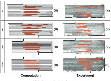 Fig. 15. Comparison of delaminated interfaces (diameter 15 mm, at structural failure).