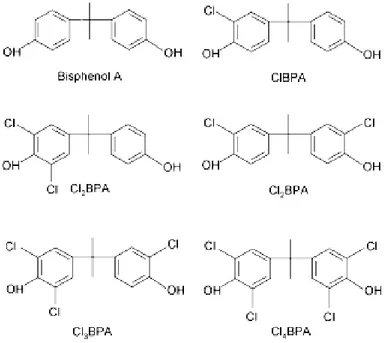 Figure 2 : Structure chimique du bisphénol A (BPA) et de ses dérivés chlorés 