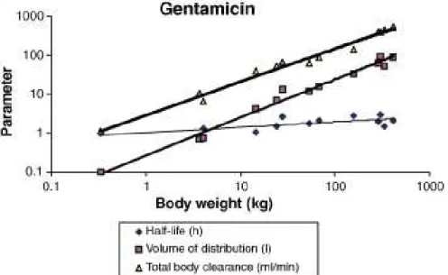 Figure 4 : Représentation graphique de la droite de régression linéaire illustrant la relation allométrique existant  entre  le  poids  corporel  et  les différents  paramètres  pharmacocinétiques  de  la  gentamicine :  clairance,  temps  de  demi-vie, et