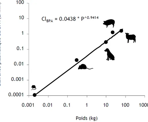 Figure  6 :  Graphique  représentant  la  relation  allométrique  (Cl BPA   =  0,0438  x  P  0,9414 )  reliant  la  clairance  plasmatique du BPA et le poids corporel de 5 espèces animales : la souris, le rat, le chien, le porc et le mouton  (d’après [13])