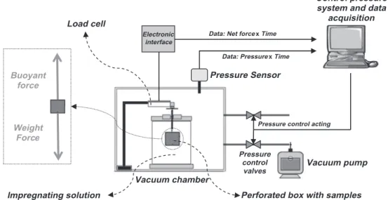 Fig. 1. Schematics of the experimental device used for vacuum impregnation of apples.