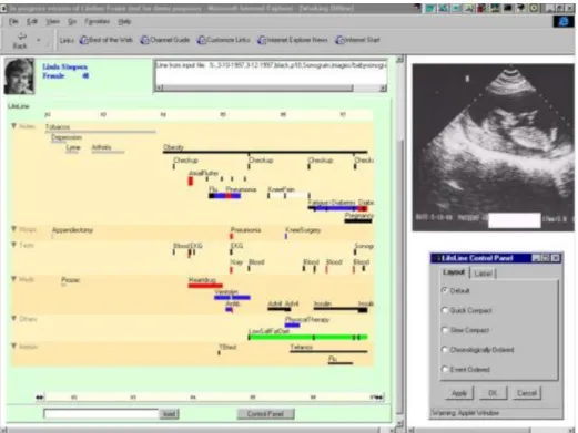 Figure 6. Interface du logiciel LifeLines (1996). 
