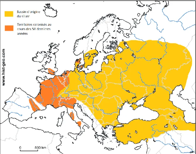 Figure 1 : Distribution de Silurus glanis en Europe. 