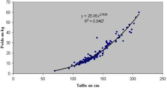 Figure 3 : Relation poids- taille de 154 silures sur le Tarn, France. (Communication personnelle F