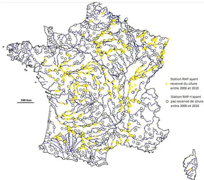 Figure 6 : Distribution des stations RHP ayant recensé le silure entre 2000 et 2010 (Données  personnelles, carte d’après Valadou, 2007)