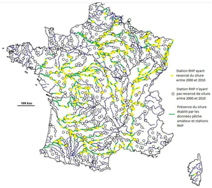 Figure 7 : Répartition actuelle du silure en France en 2011 selon l’étude faite à partir des stations  RHP et des données pécheurs amateurs (Données personnelles, carte d’après Valadou, 2007) 