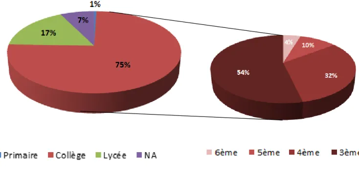 Figure 6 : Niveaux scolaires où les informations d’alcool sont reçues 