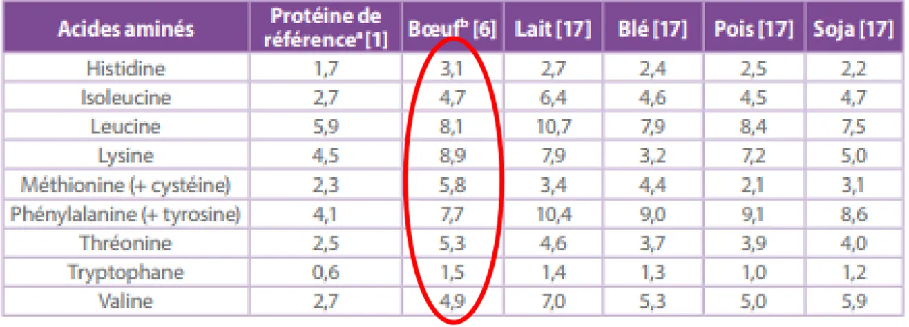 Tableau 1 : Composition en acides aminés des différentes sources de  protéines s (g/100g) [11]