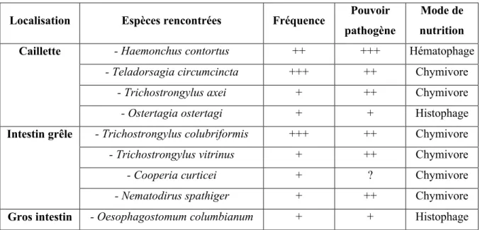 Tableau 1 : Principaux nématodes du tube digestif des caprins en France [32]