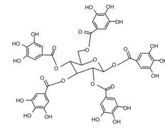 Figure 4 : Structures de l'acide gallique et d'un tanin gallique