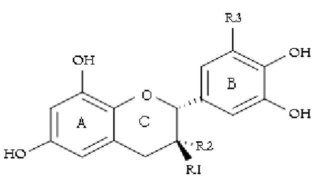 Figure 6 : Structure chimique des différents flavan-3-ols