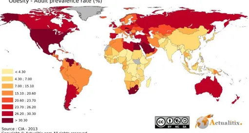 Figure 2 : Prévalence de l'obésité dans le monde en 2013 (Source : Central Intelligence Agency 2013) 