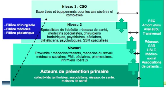 Figure 5 : Les acteurs de la prise en charge de l'obésité en fonction des niveaux de recours (Source : ARS) 