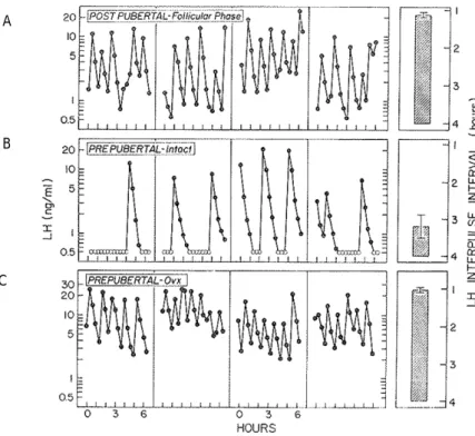 Figure 10 : Profils individuels de sécrétion pulsatile de LH avant et après la puberté chez trois brebis  prépubères