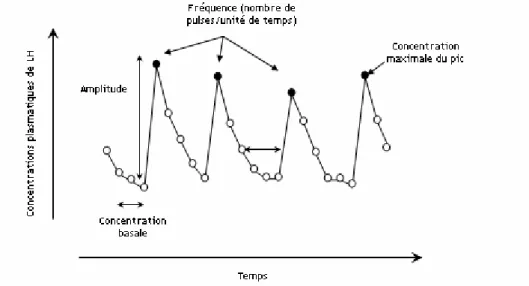 Figure 16 : Principaux paramètres de la sécrétion de LH déterminés à partir d’un profil des  concentrations plasmatiques de LH