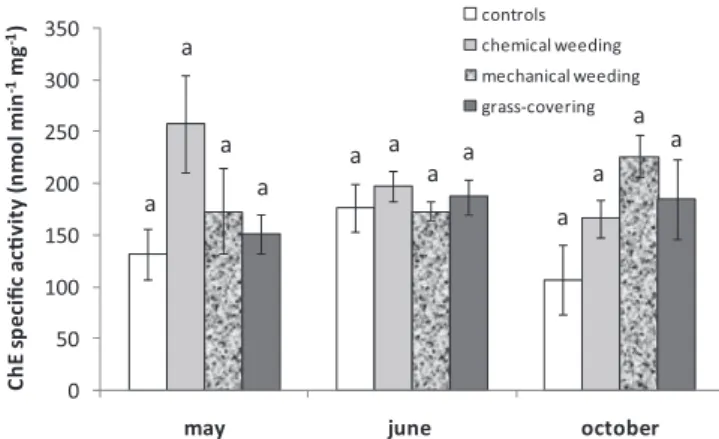 Fig. 4. Cholinesterase speciﬁc activity of the earthworm A. nocturna collected at 3 sampling dates under different soil managements, in the Gaillac vineyard, South-West France