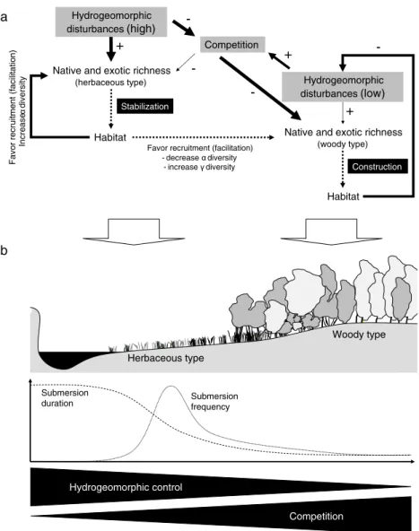 Figure 4. Conceptual model describing (a) how ecosystem engineering by herbaceous and woody pioneer vegetation controls native and exotic richness through the modi ﬁcation of the balance between extrinsic and intrinsic controls, respectively, hydrogeomorph