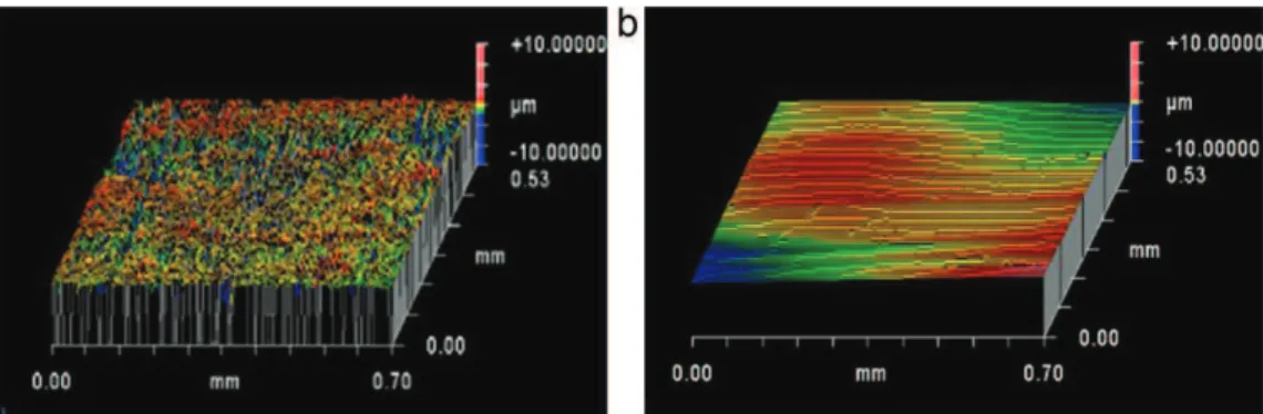 Fig. 9. 3D topographic analysis of the surfaces of (a) X13VD stainless steel and (b) hybrid coating on X13VD, from a white light interferometer.