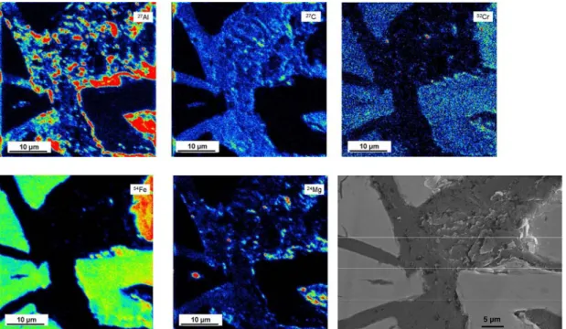 Figure 3. SEM micrograph and SIMS maps (linear scale) of branching lamellas in alloy 8P1