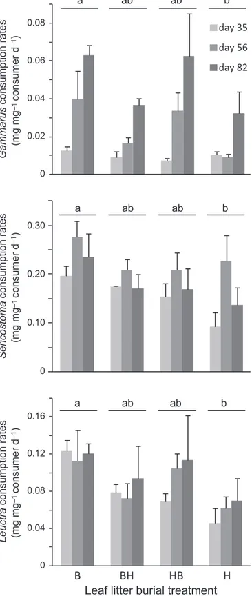 Fig. 6 Effects of leaf litter burial on Gammarus fossarum growth rates during 3-week experiments