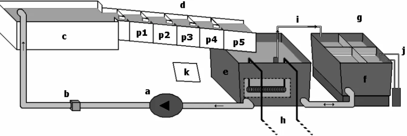 Figure  1.  Experimental  device.  a)  pump,  b)  flowmeter,  c)  upper  tank,  d)  vertical  slot  fishway  model,  e)  lower  tank, f) redistribution tank, g) fish-tanks, h) system of temperature regulation, i) circulation pump, j) filter pump,  k) 45° m