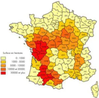 Figure 1. Zone de production de la culture de tournesol en  France (CETIOM, 2009).