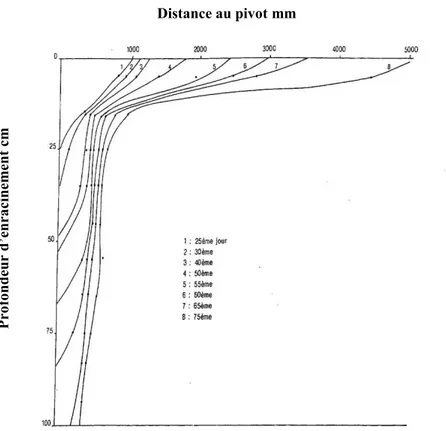 Figure 2. Profil de longueur total du système racinaire, à différents stades de croissance : du 25 ème  au 75  ème  jour