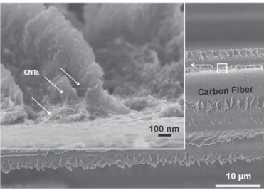 Fig. 4. SEM picture of the interply epoxy rich zone for carbon ﬁber composites with M21 epoxy ﬁlled for 0.4 wt.% of CNTs.